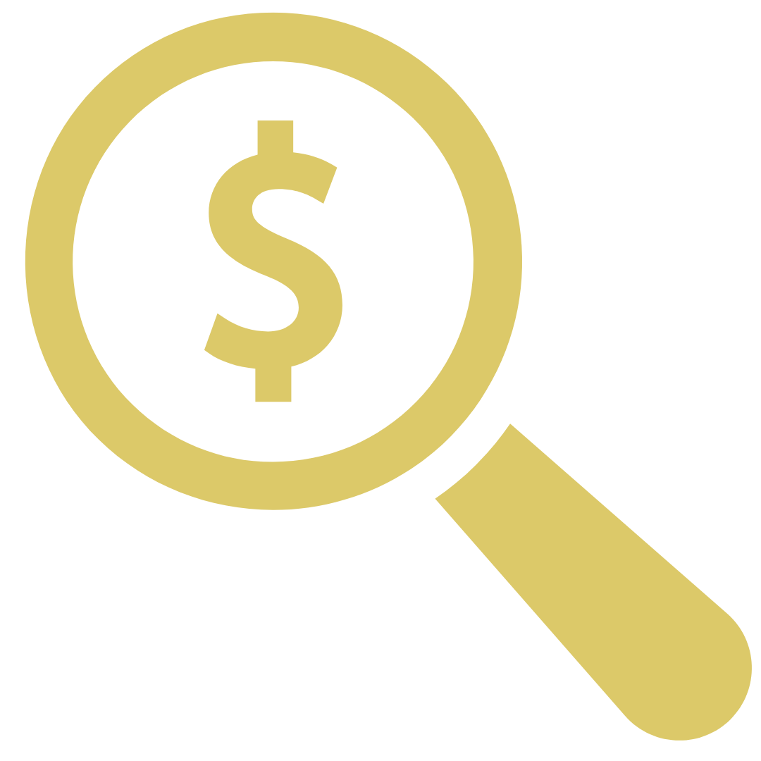 Money Magnify Icon (yellow)